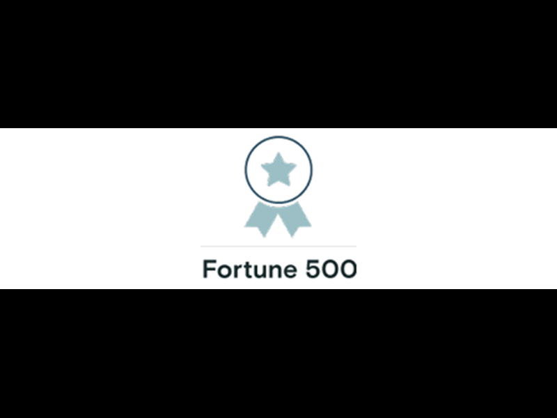 Fortune 500 V2