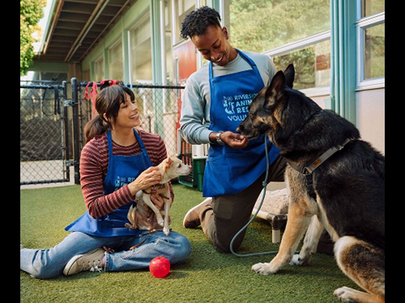 Homepage Image 2 450X375