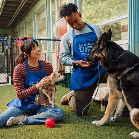 Homepage Image 2 450X375